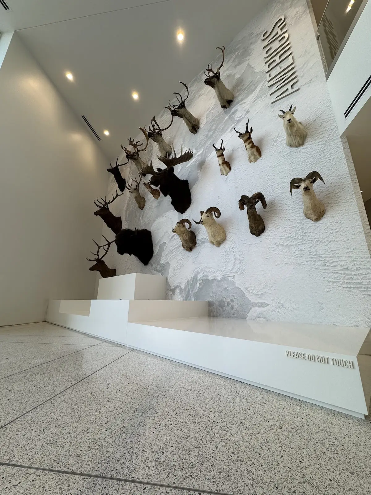 signage for mounted animals in lobby